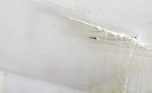 construction-solutions