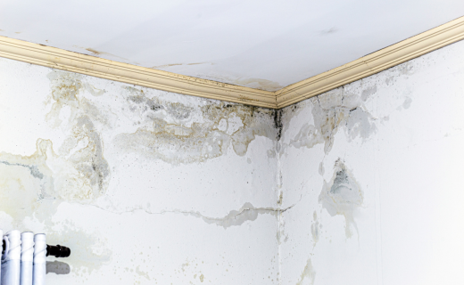 Waterproofing Solutions